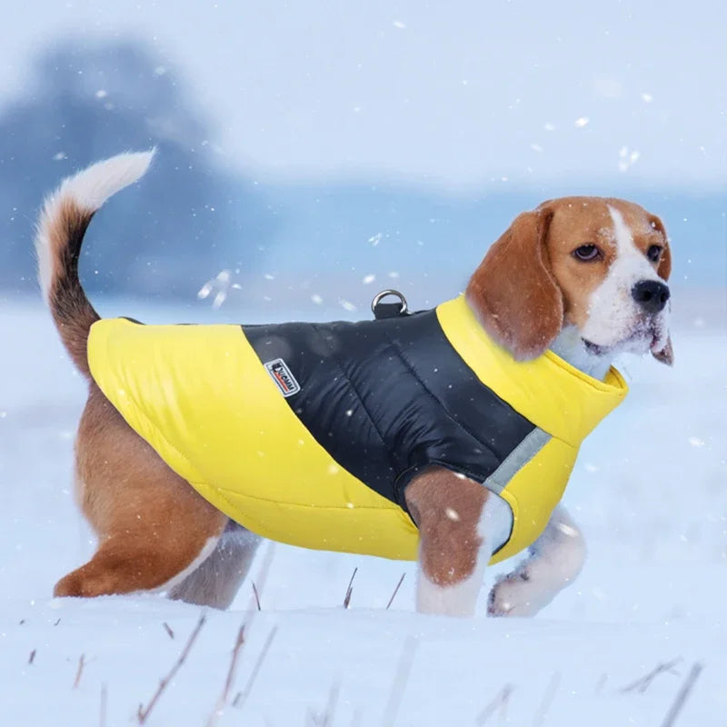 Winter Dog Jacket - RavePets