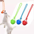 Dog Chew Ball on Rope - RavePets