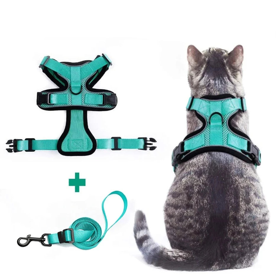 Breathable Cat Harness Leash Set - RavePets