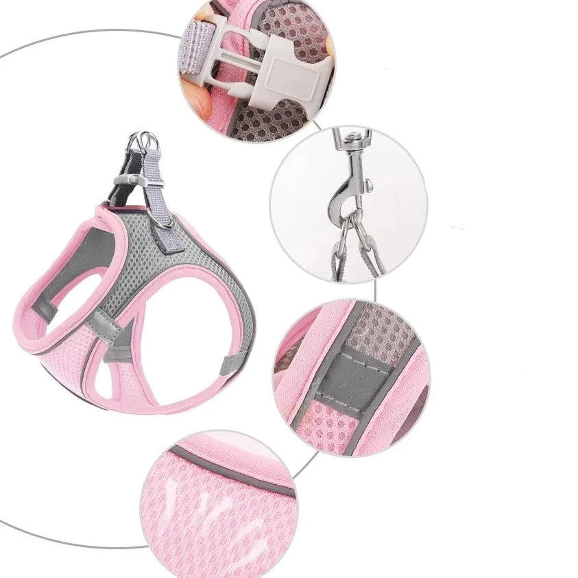 Reflective Cat Harness And Leash - RavePets