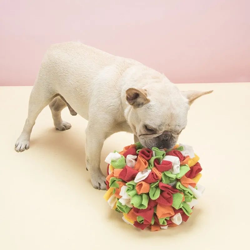 Dog Sniffing Puzzle Ball - RavePets