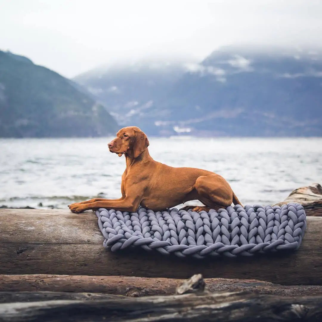 Dog Knit Bed - RavePets