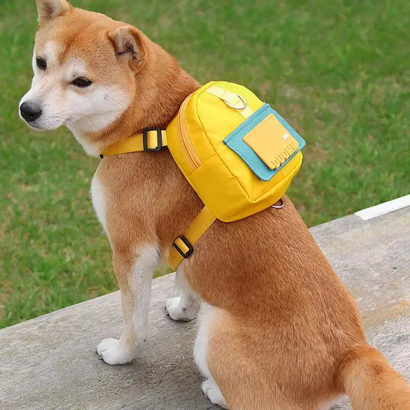 Dog Harness With Backpack - RavePets