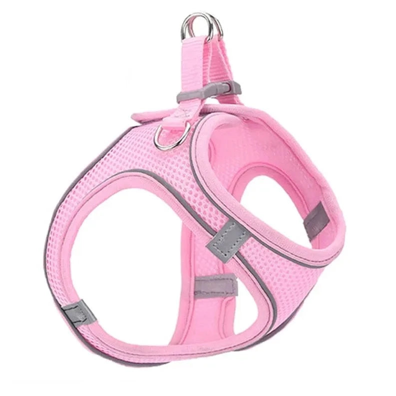 Reflective Cat Harness And Leash - RavePets