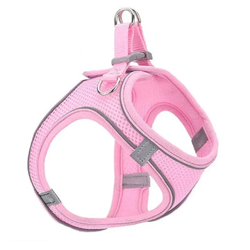 Reflective Cat Harness And Leash - RavePets