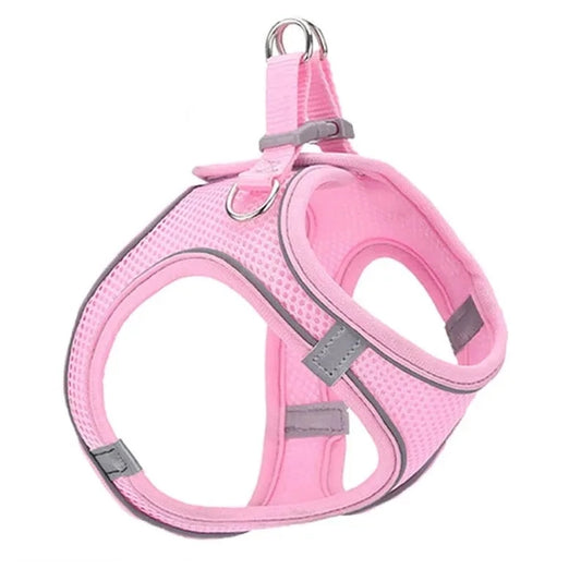 Reflective Cat Harness And Leash - RavePets