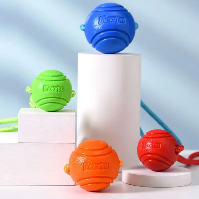 Dog Chew Ball on Rope - RavePets