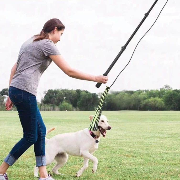 Extendable Flirt Pole - RavePets