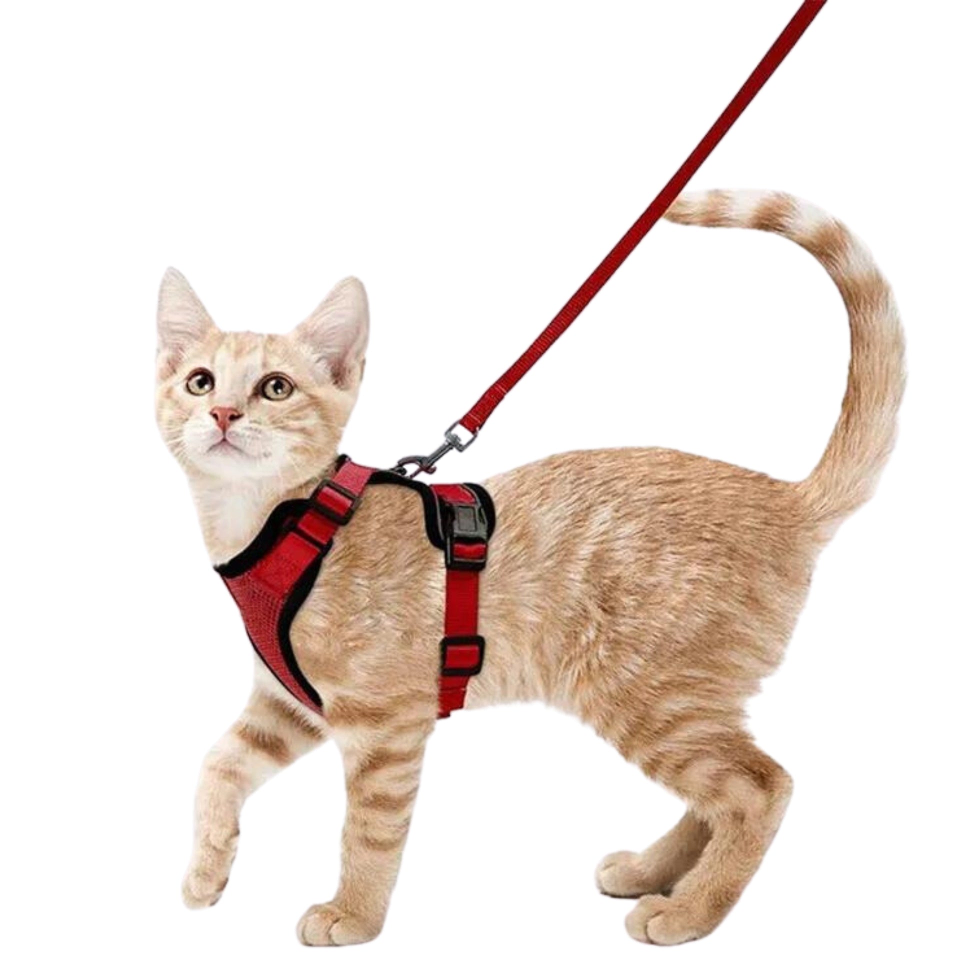 Breathable Cat Harness Leash Set - RavePets