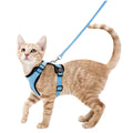 Breathable Cat Harness Leash Set - RavePets