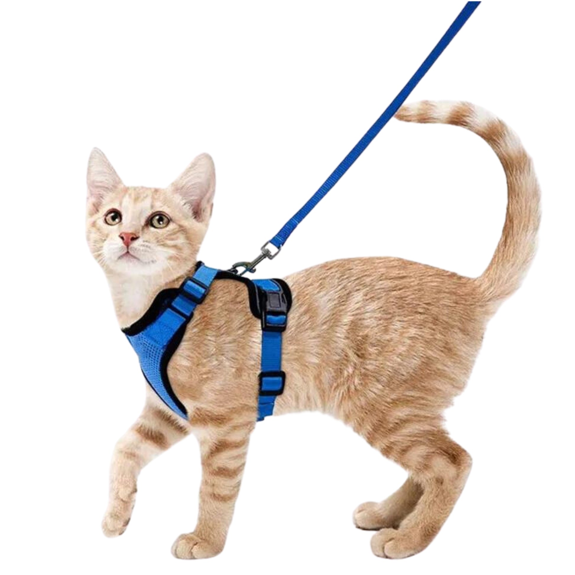Breathable Cat Harness Leash Set - RavePets
