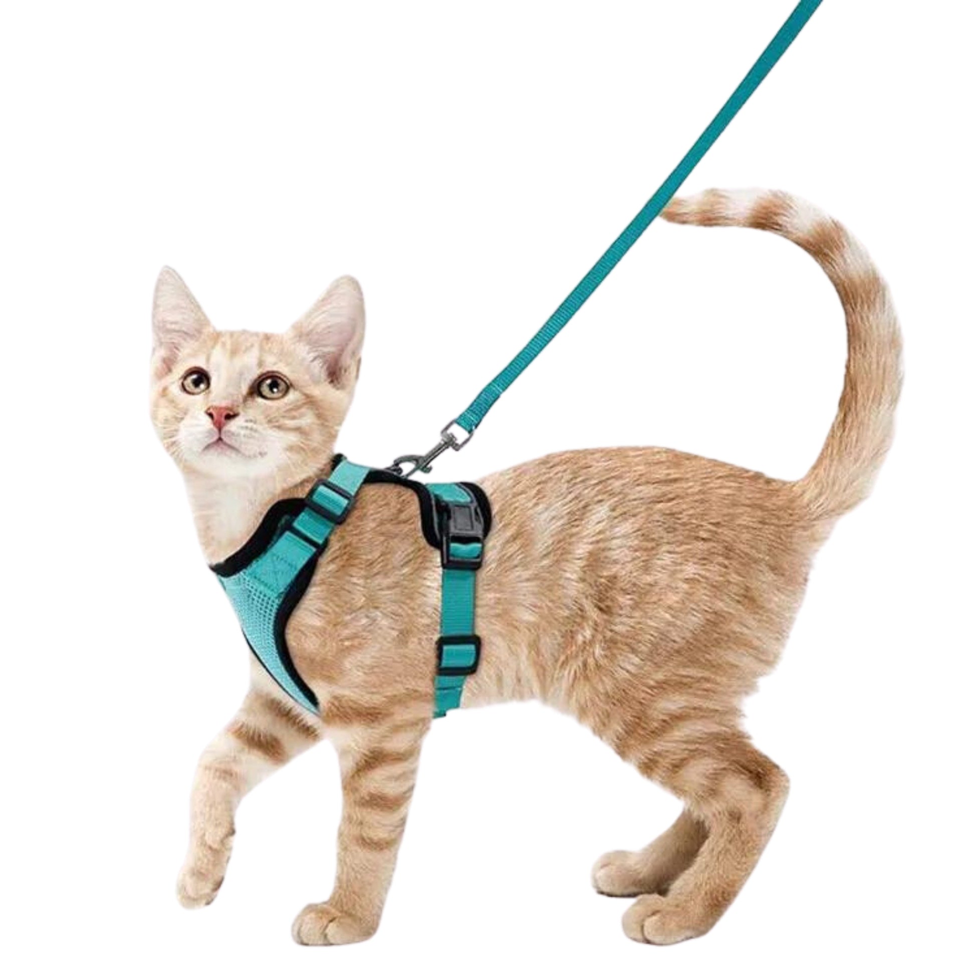 Breathable Cat Harness Leash Set - RavePets