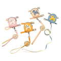 Harness & Leash with Bag - RavePets