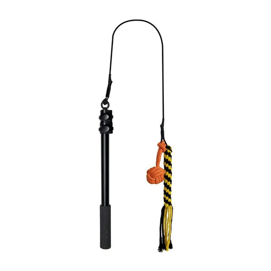 Extendable Flirt Pole - RavePets